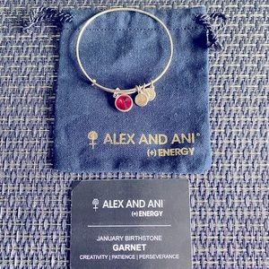 Alex and Ani January birthstone charm bangle.